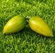 GREEN RIPPER TOMATO