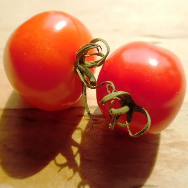 СОЛОДКЕ СЕРЦЕ САДІВНИКА (GARDENER'S SWEETHEART) ТОМАТ