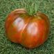 BROWN FLESH TOMATO