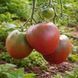 HEART IN CHOCOLATE TOMATO
