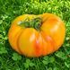 HONEY GIANT 11147-930G foto 2