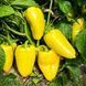 LENKINA PEPPER