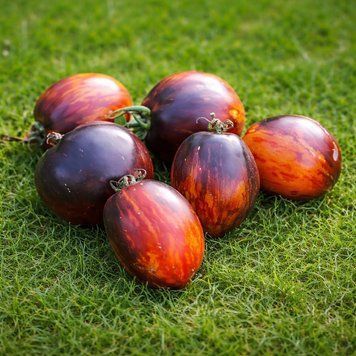 CARAMEL TOMATO