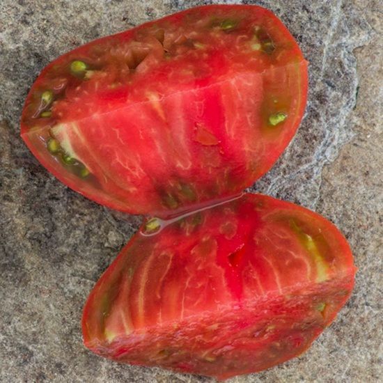 SERCE LINNEUSZA (LINNAEUS HEART) POMIDOR