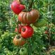 BERKSHIRE POLISH BEEFSTEAK TOMATO