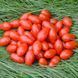 ФЛЯШЕН ТОМАТЕН (FLASHEN TOMATEN) ТОМАТ