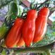 FLASHEN TOMATEN POMIDOR
