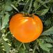 STRAWBERRY GERMAN YELLOW TOMATO