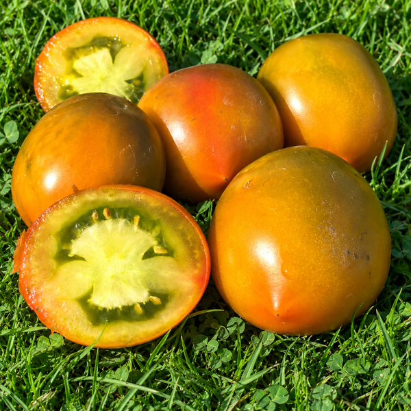 ZIELONY MI&Oacute;D (GREEN HONEY)
