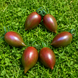 ACADEA MARO (BROWN LOLLIPOP) 2082G foto 2