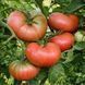 LILAC GIANT TOMATO