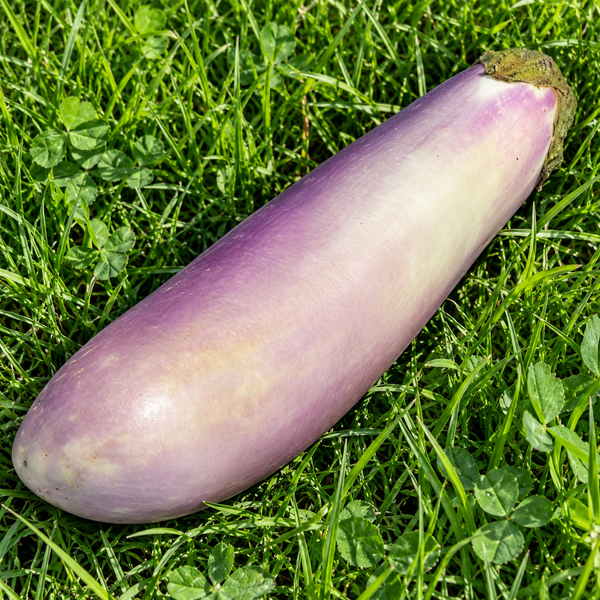 ARUMAGAN