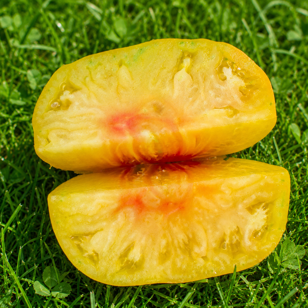 PAW PAW YELLOW TOMATO