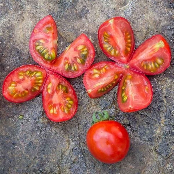 BLUE PITTS TOMATO