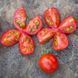 BLUE PITTS TOMATO