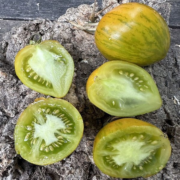 MARCHENELF TOMATO