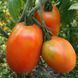 KAZAKH PLUM TOMATO