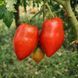 ABBATTISTA PASTE TOMATO