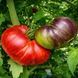 BLUE DUTCHMAN TOMATO