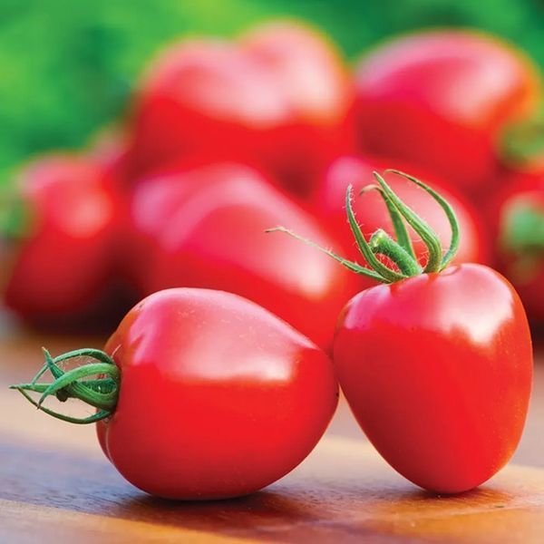 TOMATOBERRY POMIDOR
