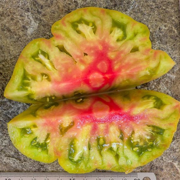 EVERETTS RUSTY OXHEART TOMATO
