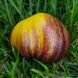 VERY SWEET BLUES TOMATO