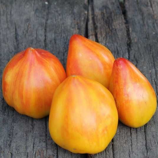 tomato._530さん7-8-1 tomato._530さん7-9-7 【公式通販】
