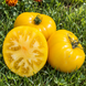 GNOM ZŁOTE SERCE POMIDOR
