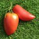 AIRY LEAF TOMATO