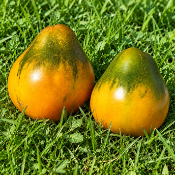 EMERALD TRUFFLE ТОМАТО