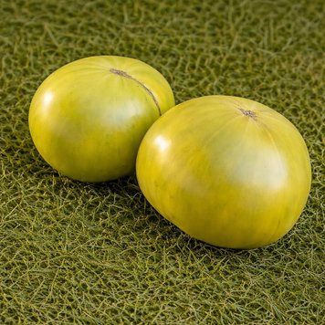 DWARF GRINCH TOMATO