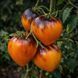 VERY SWEET BLUES ORANGE TOMATO