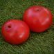 IRANIAN WONDER TOMATO