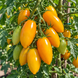 BANANEK (LITTLE BANANA)