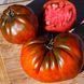 CAROL CHYCO'S BIG PASTE BLACK TOMATO