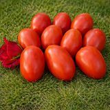 EIFFEL TOWER TOMATO
