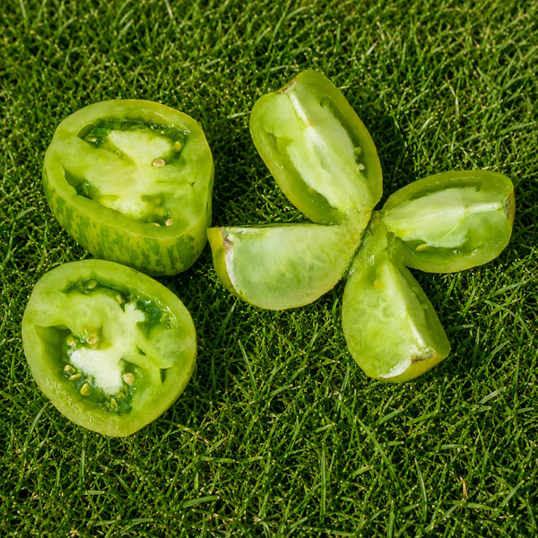 ZIELONA PAPRYKA (GREEN BELL PEPPER)