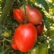 KALMAN&rsquo;S HUNGARIAN PINK TOMATO