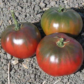 BLUE FRUIT TOMATO