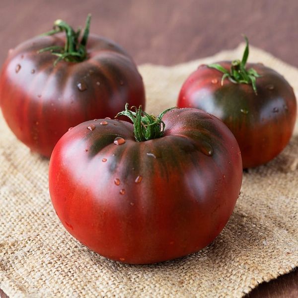 BRANDYWINE BLACK TOMATO