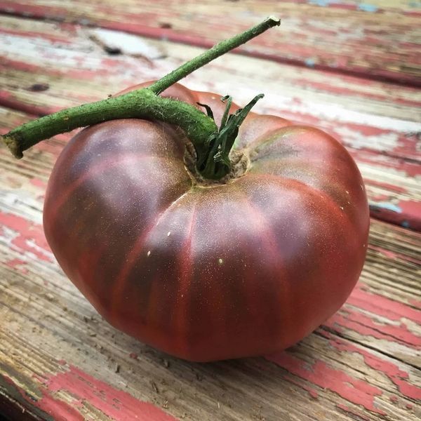 BRANDYWINE BLACK TOMATO