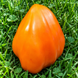 INIMĂ PORTOCALIE PASAK (ORANGE HEART PASAK) 0185 foto 2