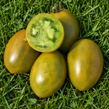 ЗЕЛЕНАЯ БОМБА (GREEN BOMBS) 10114G фото