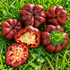 PAPRYKA POMIDOROWA CZEKOLADOWA&nbsp;(TOMATEN PAPRIKA CHOCOLATE)