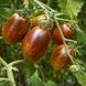COSMIC PURPLE TOMATO