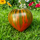 GREEN HEART OF THE STEPPE TOMATO