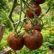MARSHA'S TOMATO