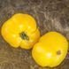 GAIL TOMATO