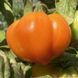 КАЗКОВИЙ ФРУКТ (MARCHENFRUCHT) ТОМАТ
