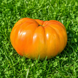 GERMAN STRIPED TOMATO
